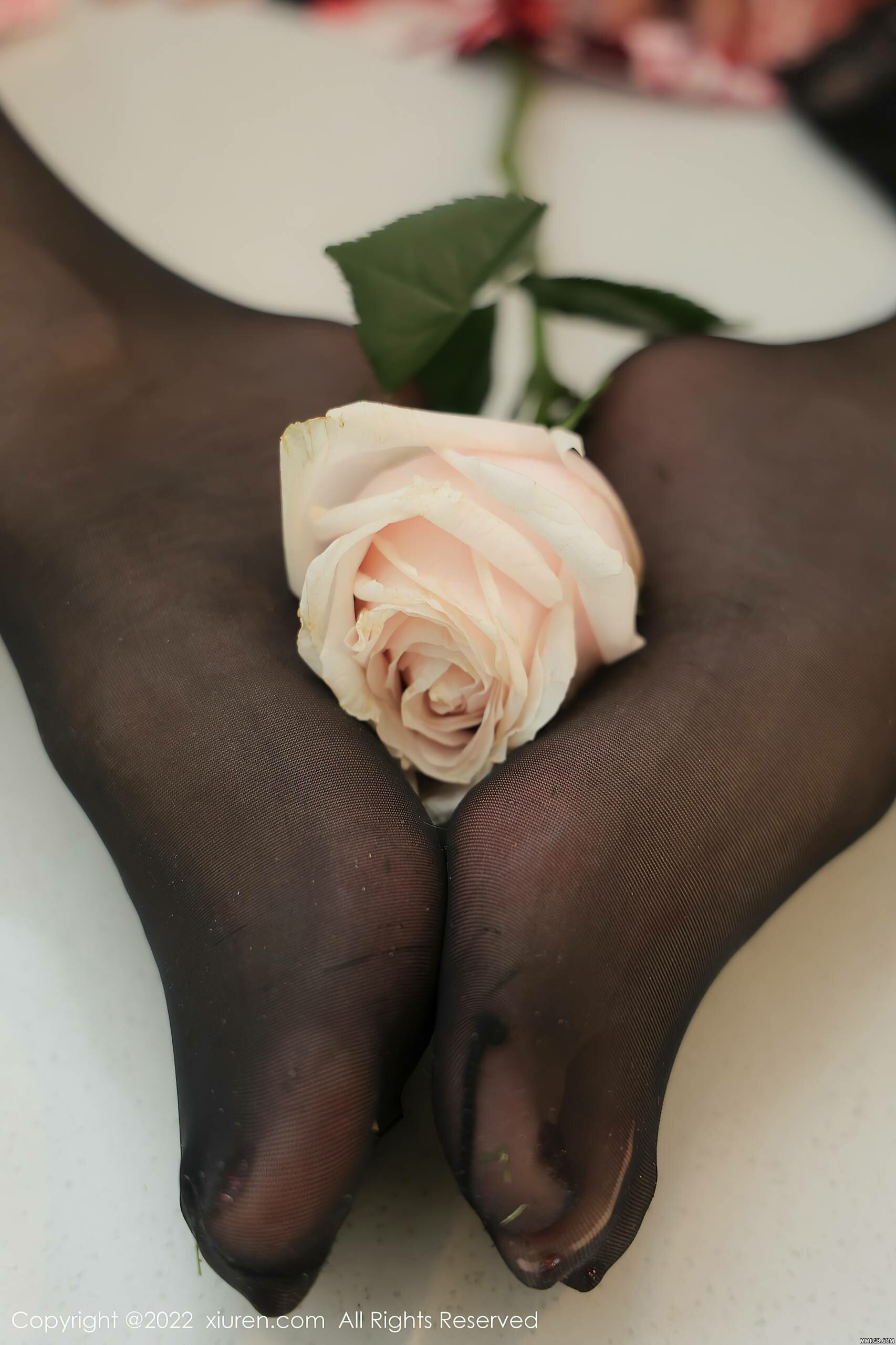 MMRGB.COM_047.jpg